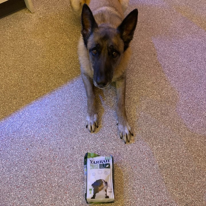 photo of Yarrah Biscuits for Larger Dogs shared by @dieneke on  22 Dec 2021 - review