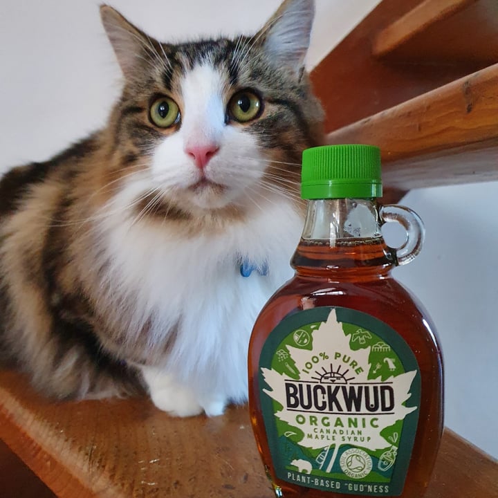 photo of Buckwud Organic Canadian Maple Syrup shared by @angelazevedo on  10 Apr 2021 - review