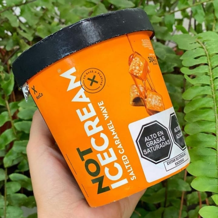 photo of NotCo Not Icecream Salted Caramel Wave shared by @vegantells on  21 Mar 2022 - review
