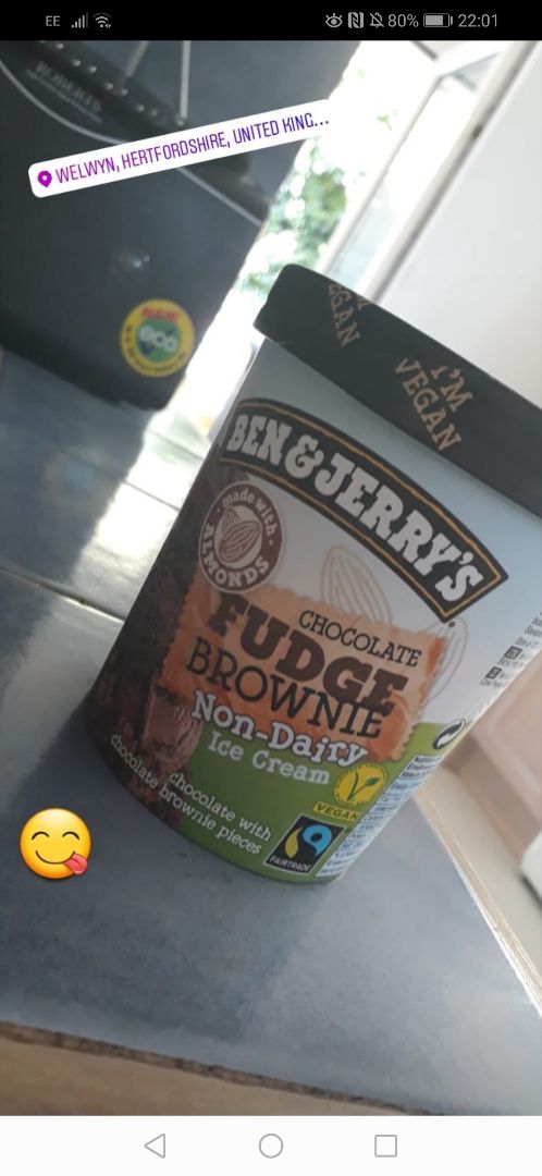 review photo of Ben & Jerry's Chocolate Fudge Brownie Non-Dairy Ice Cream shared by @troyehaydentro on 14 Aug 2019 - review