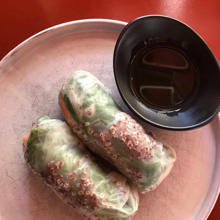 photo of Brik cafe Vietnamese spring rolls shared by @sarahjeggle on  04 May 2021 - review
