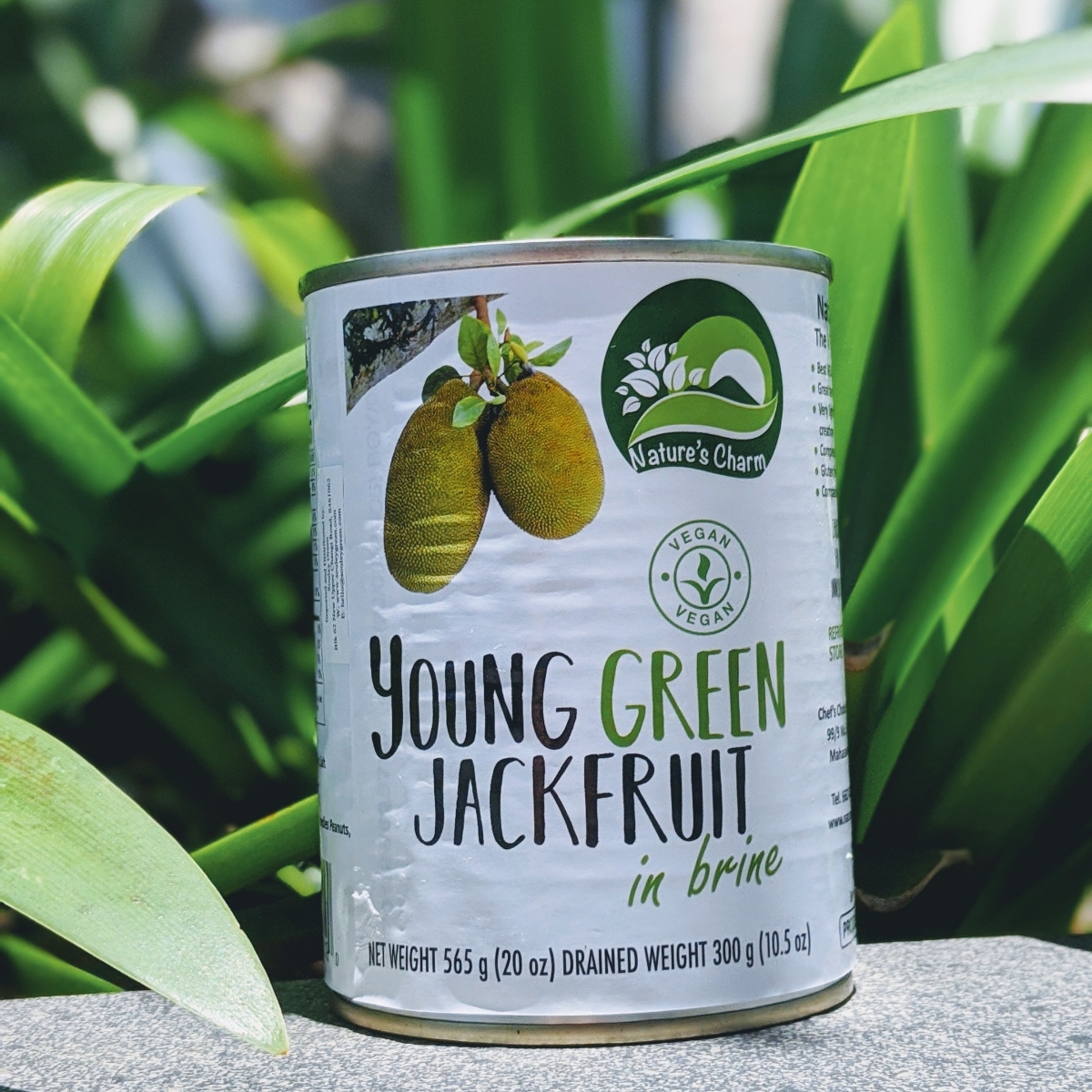 Young Green Jackfruit in Brine from Nature's Charm Vegan Product