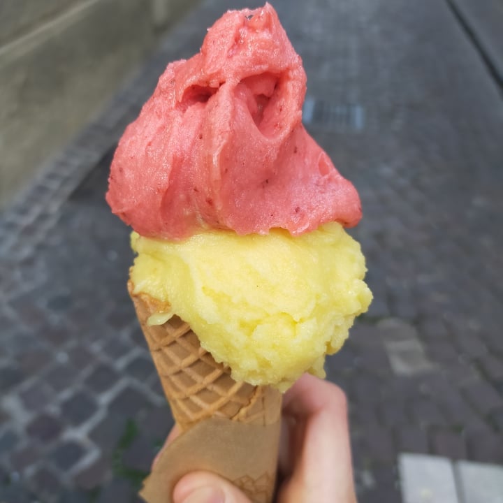 photo of Prana Gelateria Gelato shared by @lisabonisiol on  13 Mar 2022 - review