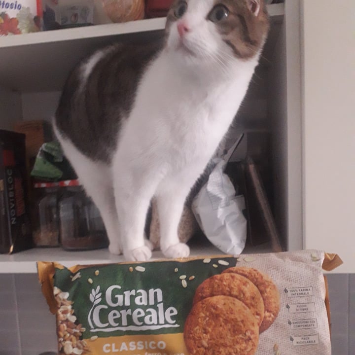 photo of Gran Cereale Biscotti Gran Cereale shared by @ritaire on  08 Dec 2021 - review