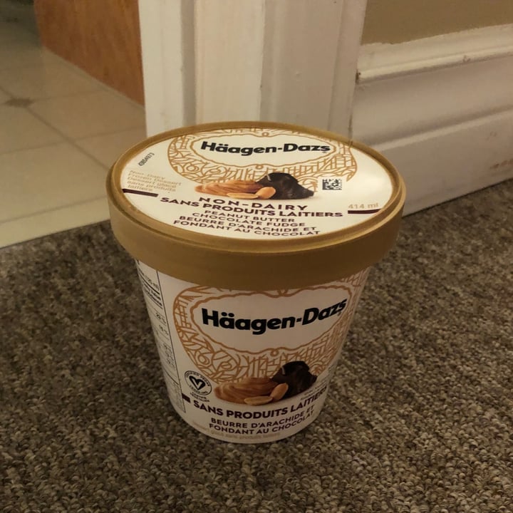 photo of Häagen-Dazs Peanut Butter Chocolate Fudge Non-Dairy shared by @veganweirdo8 on  25 Jul 2020 - review