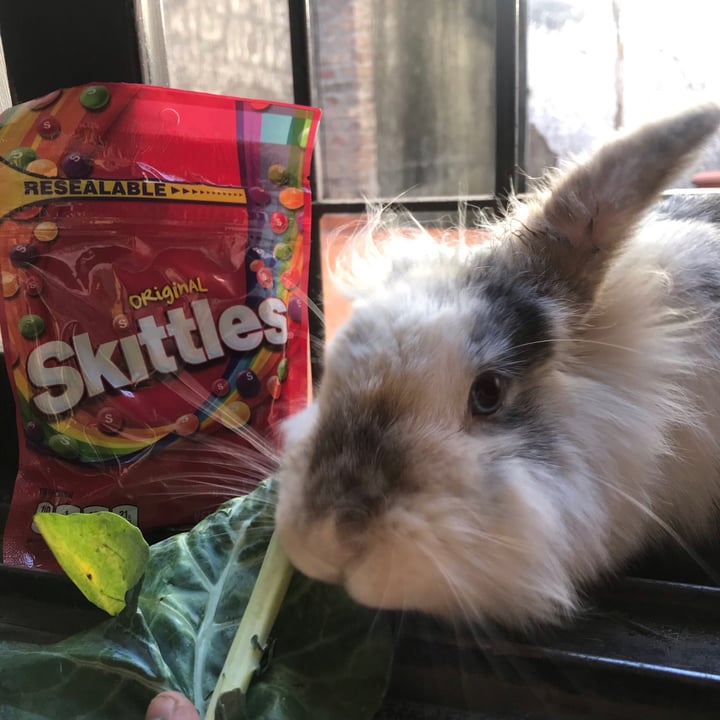 photo of Skittles Skittles Fruits shared by @candelariex on  11 Dec 2020 - review