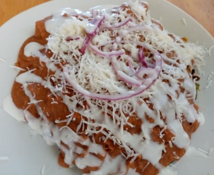 review photo of Vegan Republique Enfrijoladas shared by @carmenfdz on 22 Dec 2019 - review