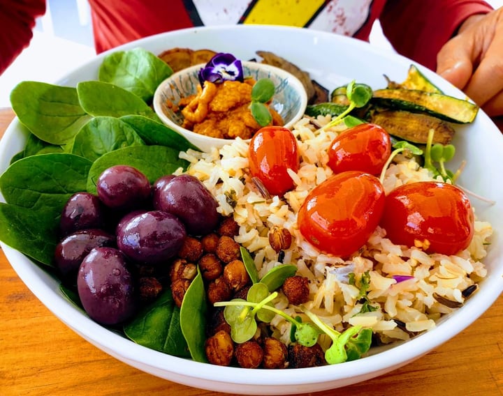 review photo of Moksa Gaudi Bowl shared by @sharkhugger on 10 Sep 2019 - review
