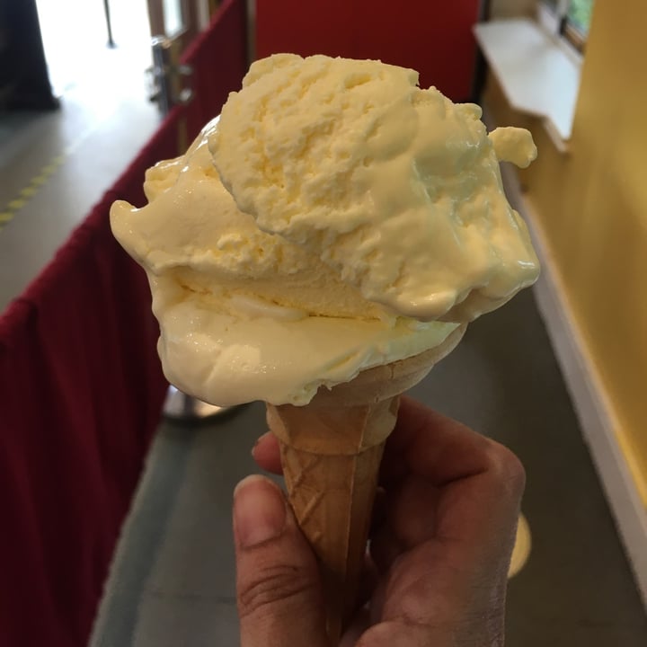 photo of Lakeside Cafe vegan vanilla icecream shared by @valedv on  23 Jul 2022 - review