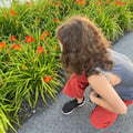 gassia @gassia profile image