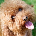 bcharlie @bcharlie profile image