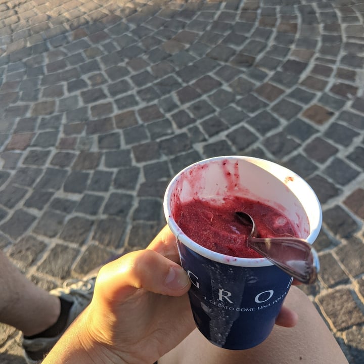 photo of Grom Granita mandorla e frutti di bosco shared by @fra-rocci1997 on  03 Sep 2020 - review