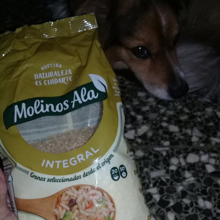photo of Molinos Ala Arroz Integral shared by @taniasch on  20 Jan 2021 - review