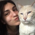 mariacossu @mariacossu profile image