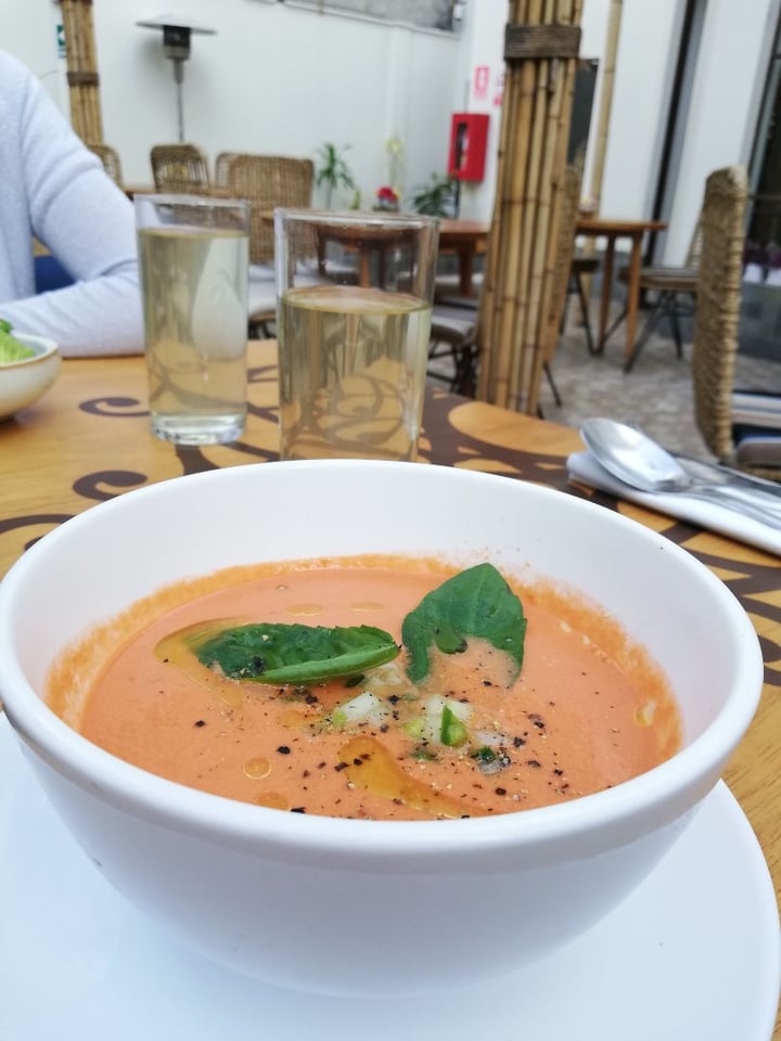 photo of Veda Restaurant Piqueo vegano shared by @marciagovinda on  14 Apr 2020 - review