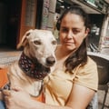 tropecientaspatas @tropecientaspatas profile image