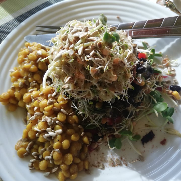 photo of The Sunshine Food Sprouting Co Bunless Burger shared by @allygreen on  02 Jul 2021 - review
