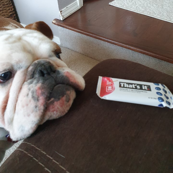 photo of That’s it Apple Blueberry Fruit Bar shared by @paniwilson on  17 Apr 2021 - review