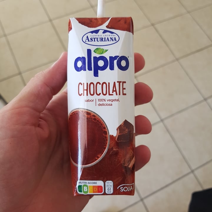 photo of Alpro Chocolate Flavored Soya Milk 250ml shared by @matthewmkr on  14 Nov 2021 - review