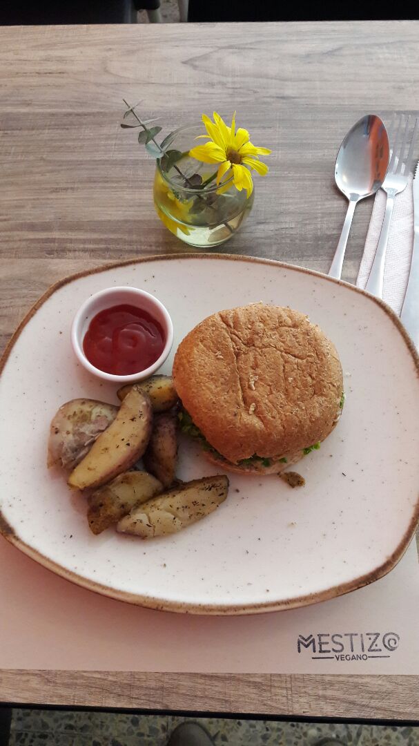 photo of Mestizo Vegano Hamburguesa vegana shared by @licerdrow on  07 Aug 2019 - review