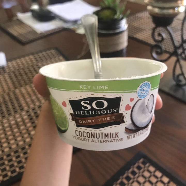 photo of So Delicious Dairy Free Key Lime Coconutmilk Yogurt Alternative shared by @flowrgurln on  31 Aug 2019 - review