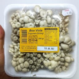 Cogumelo Boa Vista