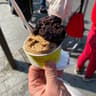 Surya Gelateria
