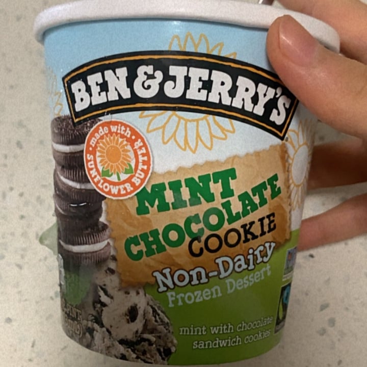 photo of Ben & Jerry's Mint Chocolate Cookie Non-Dairy Frozen Dessert shared by @nourishplant on  17 Aug 2021 - review