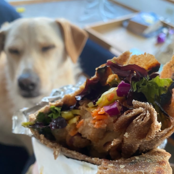 photo of The Sudra Soy Chicken Kati Roll shared by @knorthway on  06 Mar 2022 - review