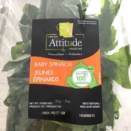 Attitude