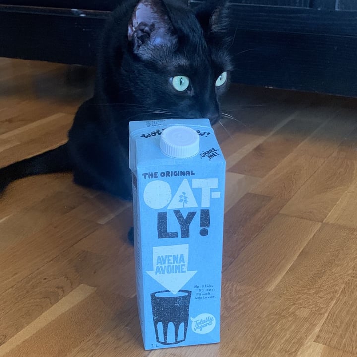 photo of Oatly Avena - Leite de Aveia shared by @evix on  23 May 2022 - review