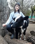 evelyneich @evelyneich profile image