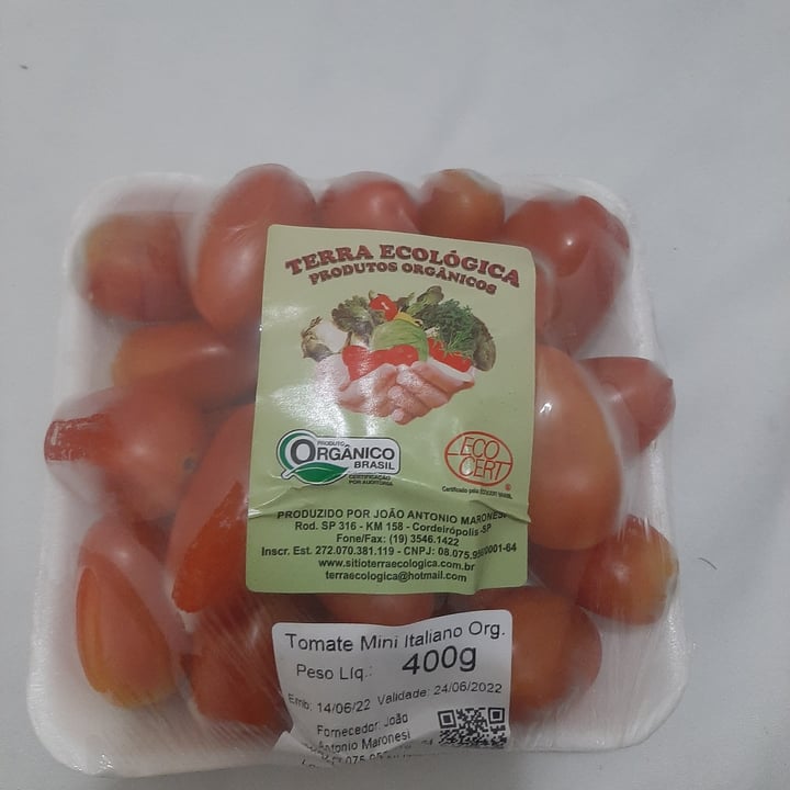 review photo of sitio ecolo Tomate Mini Italiano shared by @vitoroa on 22 Jun 2022 - review