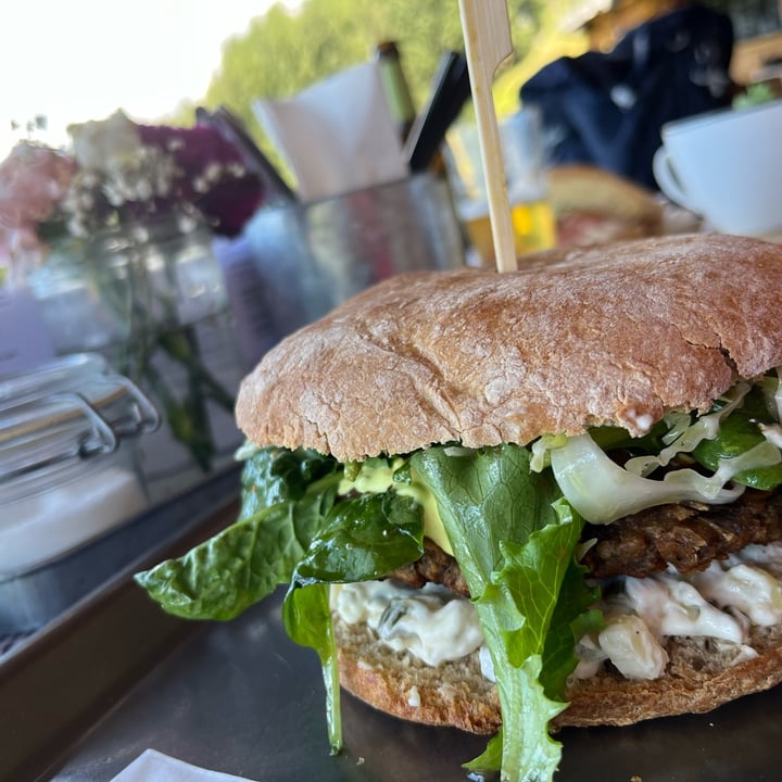 photo of Malga Hofstatt Alm burger veg shared by @elele on  06 Aug 2022 - review
