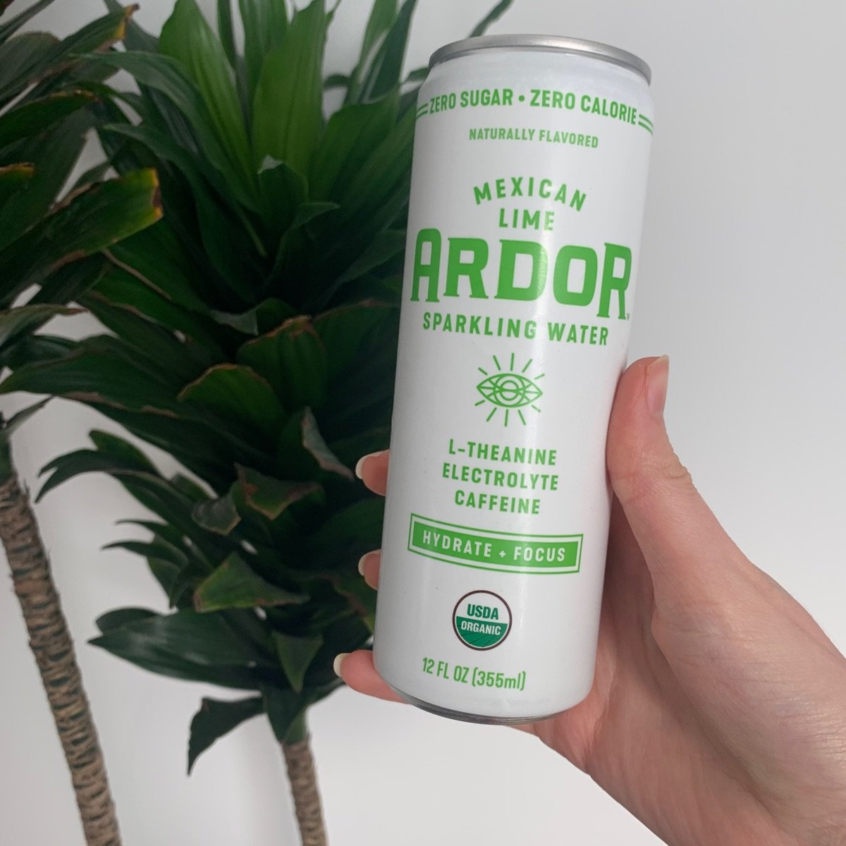 Ardor Mexican Lime Sparkling Water Reviews abillion