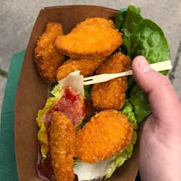 Wat is mit Vegan?