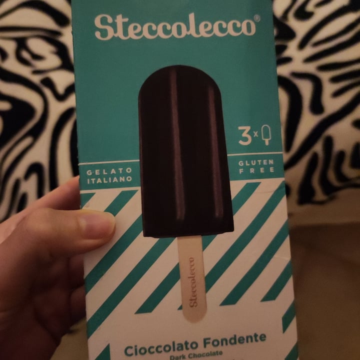 photo of Steccolecco Gelato cioccolato fondente shared by @bisbarn on  08 Nov 2022 - review