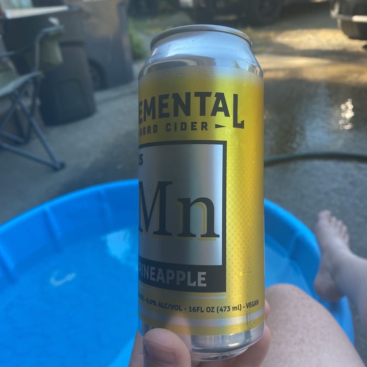 photo of Elemental Hard Cider Pineapple Hard Cider shared by @sunsh1nedaydream on  28 Jun 2021 - review