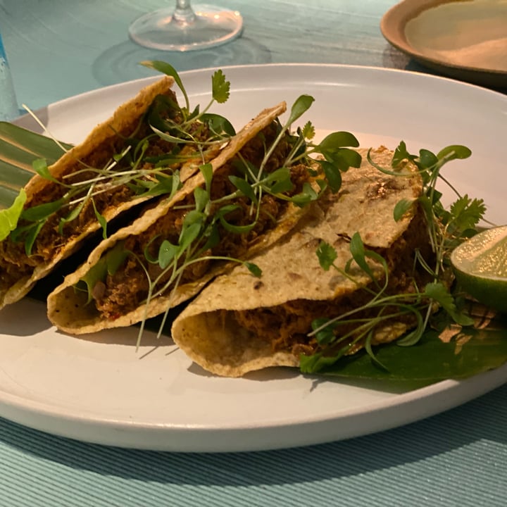 photo of Analogue Jackfruit Tacos shared by @biapol on  23 Oct 2021 - review