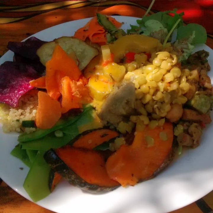 review photo of Maha Mantra Culinária Orgânica Prato Do Dia shared by @tatafreitas on 12 May 2022 - review