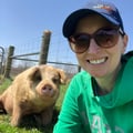 saralovesveggies @saralovesveggies profile image