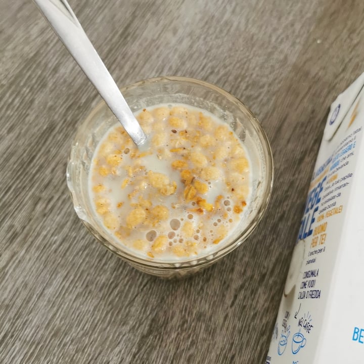 review photo of Alpro Shhh...Questo Non è Latte (LIGHT) shared by @jumbino on 19 Jul 2022 - review