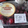 Suntrail farms picota cherries