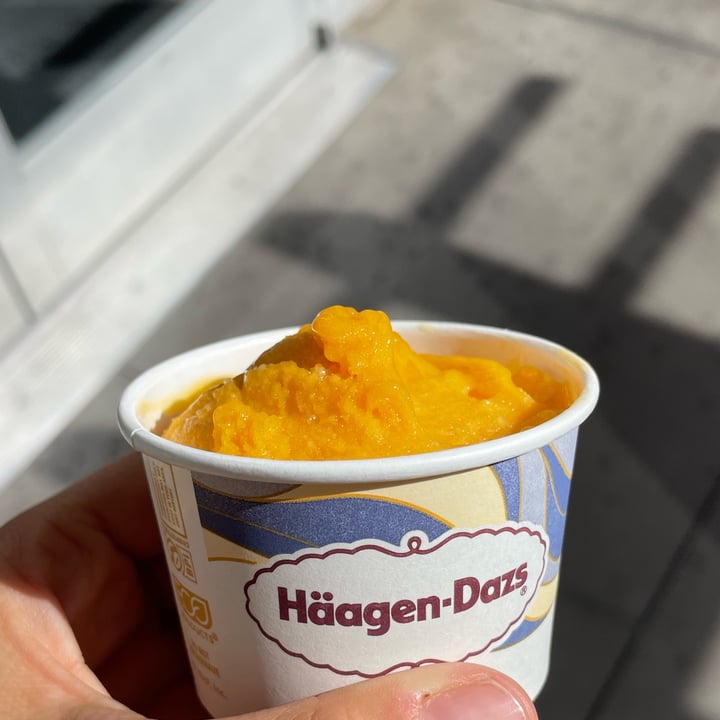 photo of Häagen-Dazs Sorbet mango shared by @sofiferracuti8 on  09 Jun 2022 - review