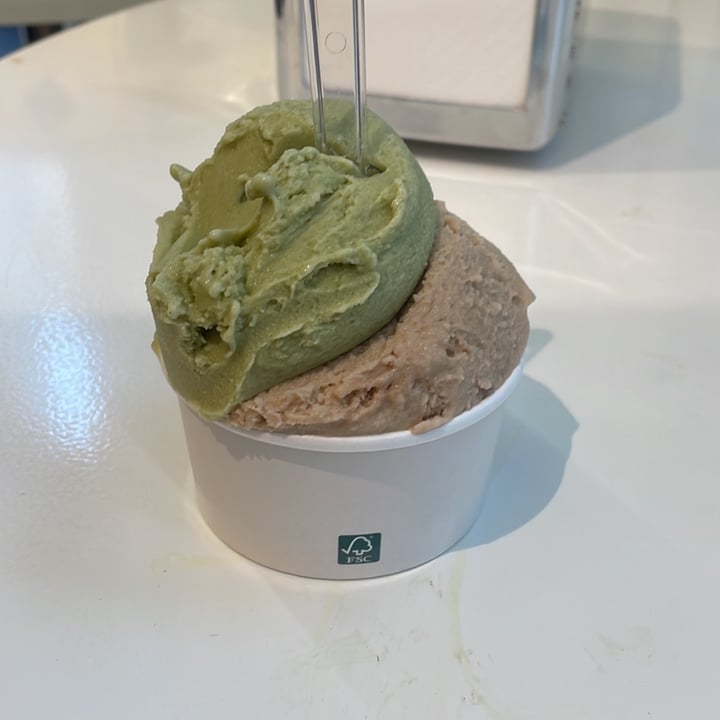 photo of Vanilla Gelati Italiani Pistachio & Hazelnut vegan Gelato shared by @jetlaggedlauryn on  31 Jul 2022 - review