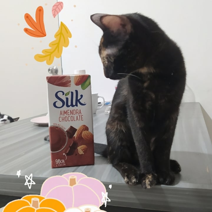 photo of Silk Bebida de Almendra sabor Chocolate shared by @danielahidalgo on  01 Oct 2020 - review