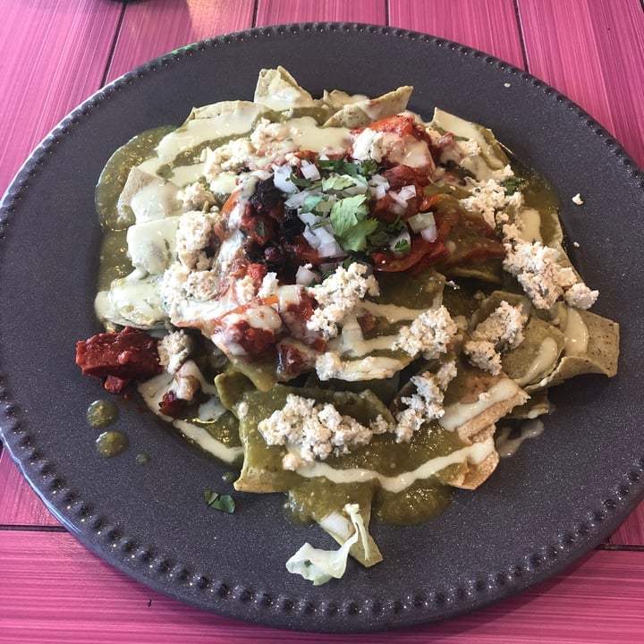 photo of Temictli Chilaquiles shared by @dolores on  03 Mar 2020 - review