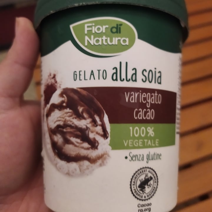 photo of Fior di Natura Gelato Alla Soia Variegato Cacao shared by @danileela on  04 Jul 2022 - review