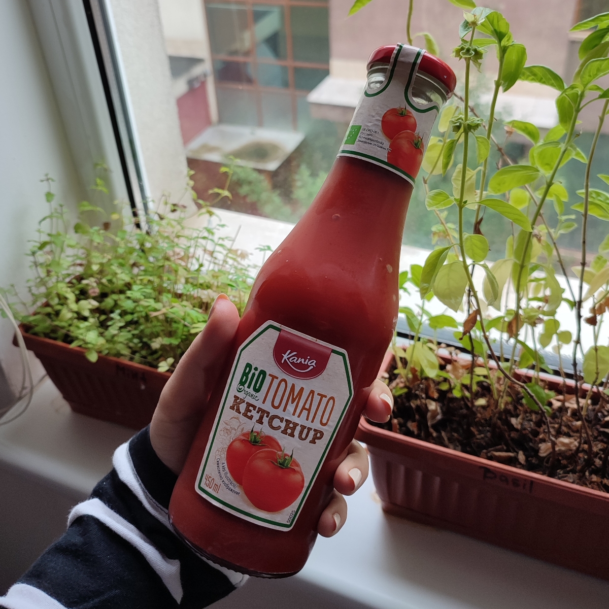 Kania Bio ketchup Reviews abillion