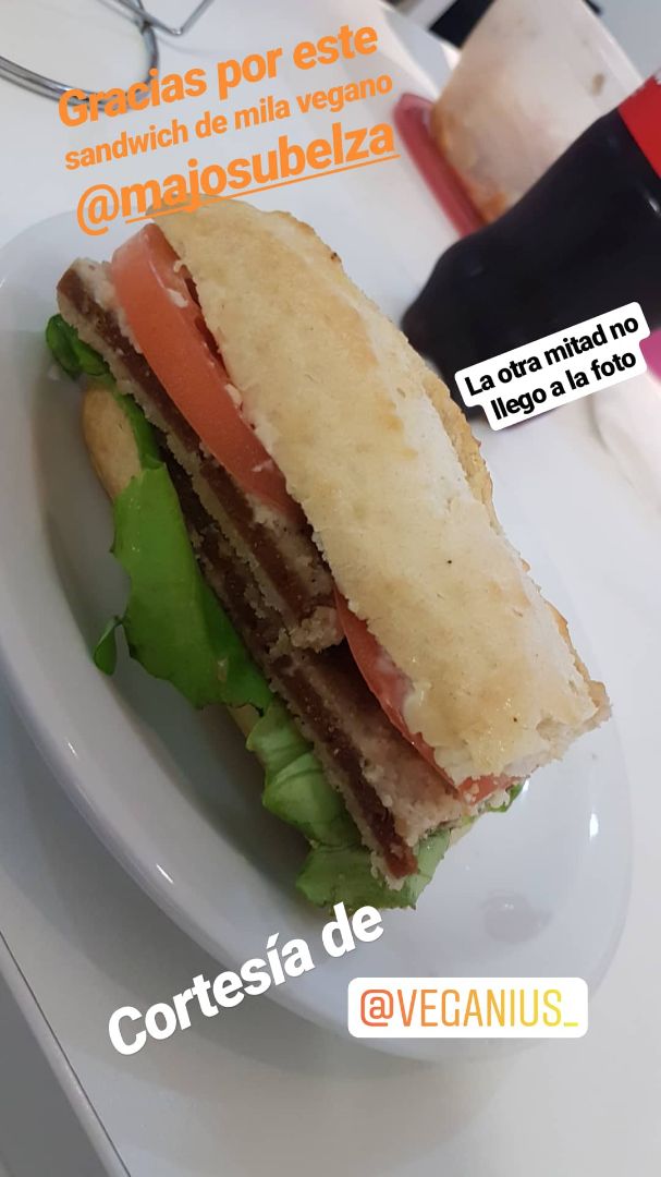 photo of Veganius Sándwich de Milanesa de Seitán shared by @celesteailin on  18 Aug 2019 - review